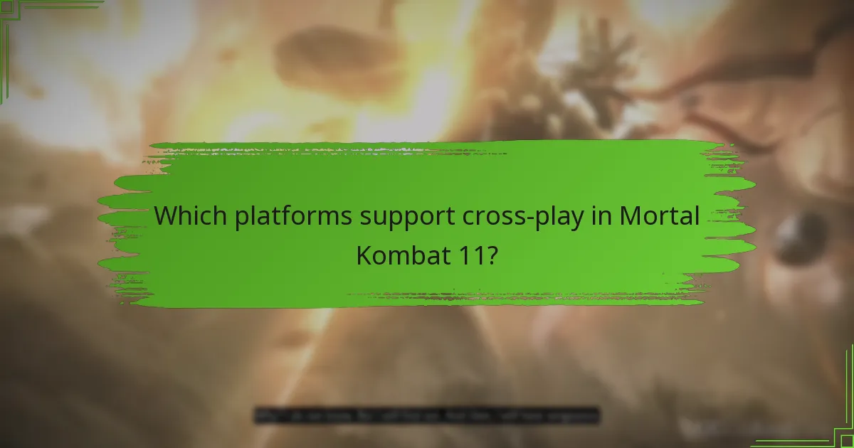 Which platforms support cross-play in Mortal Kombat 11?